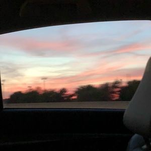 Meet your Posher, Rose